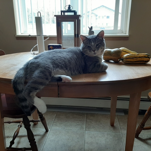 Meet your Posher - Picture 9 of 9